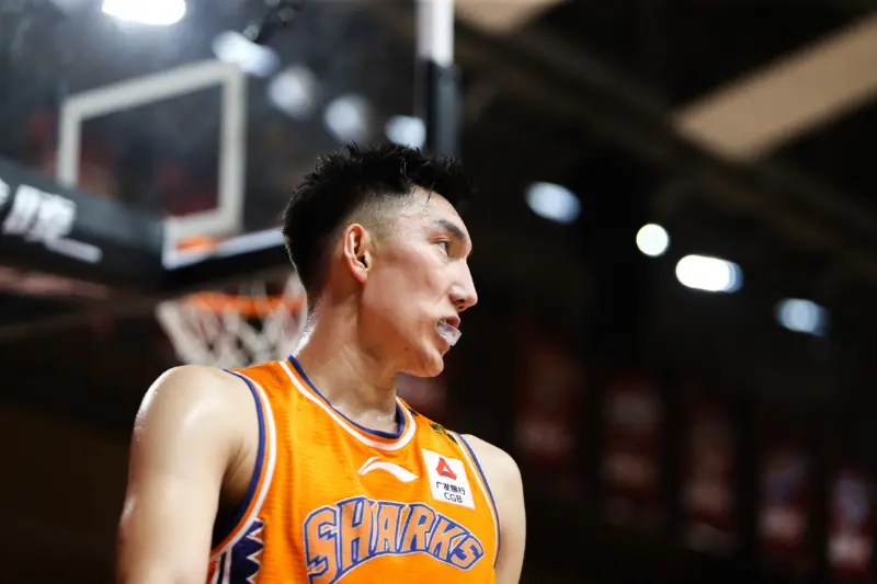 集结日德国杯传出新动向，上海久事临场应变，管理层表态——态度坚定，赛程密集仍需轮换的简单介绍